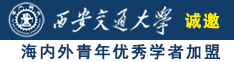 肏屄视频在线观看福利诚邀海内外青年优秀学者加盟西安交通大学