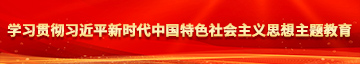 日本人日BB学习贯彻习近平新时代中国特色社会主义思想主题教育